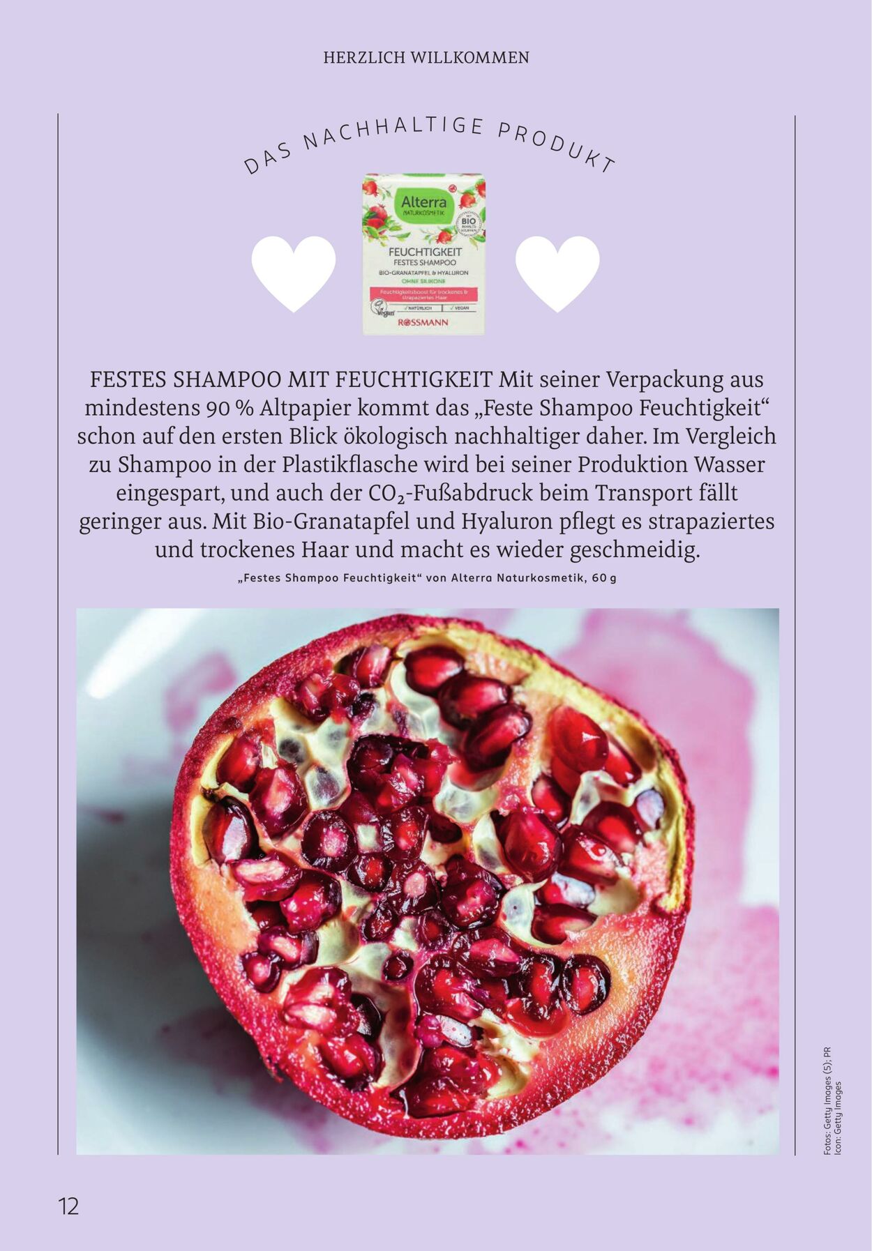 Prospekt Rossmann 01.04.2026 - 09.04.2026