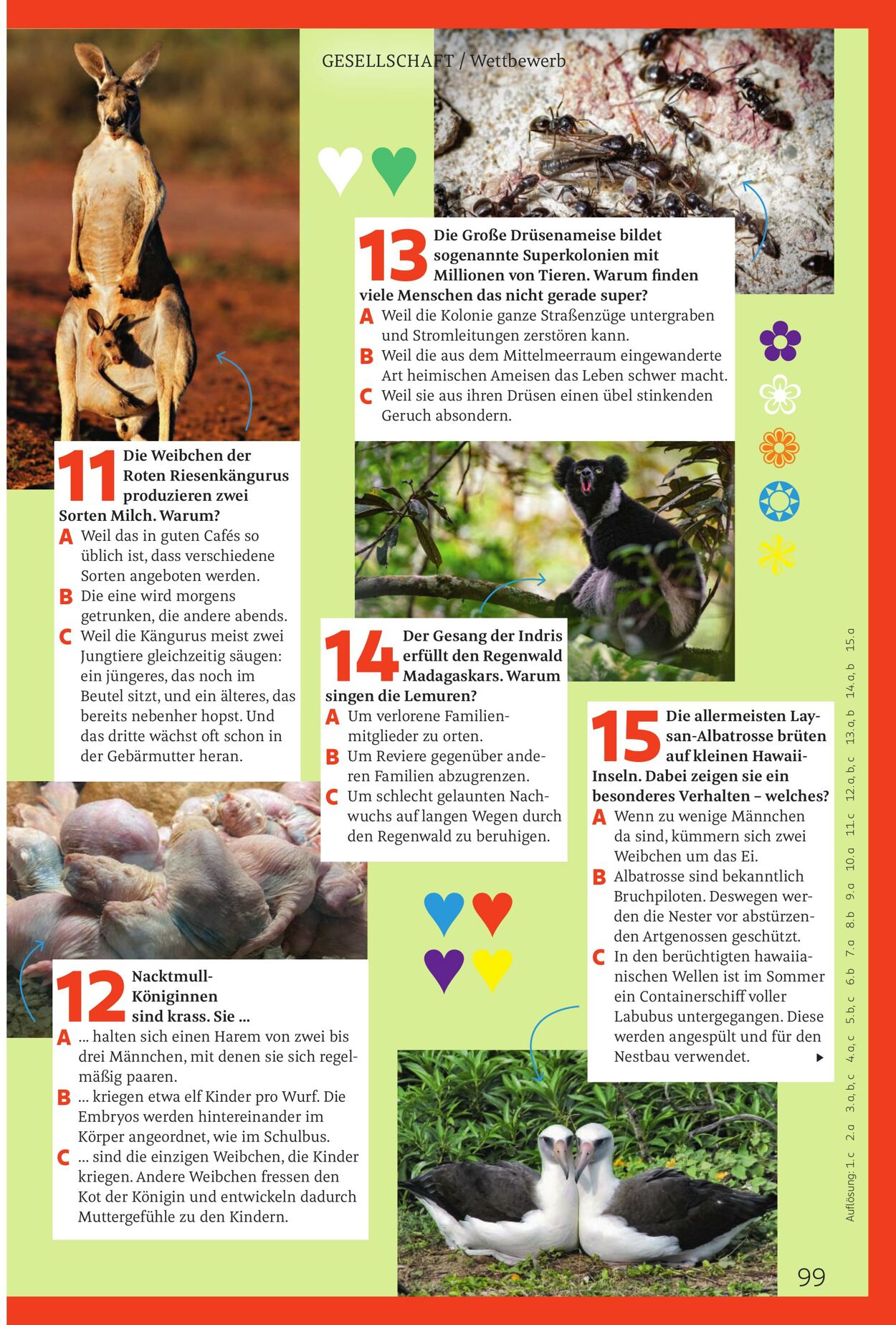 Prospekt Rossmann 01.04.2026 - 09.04.2026