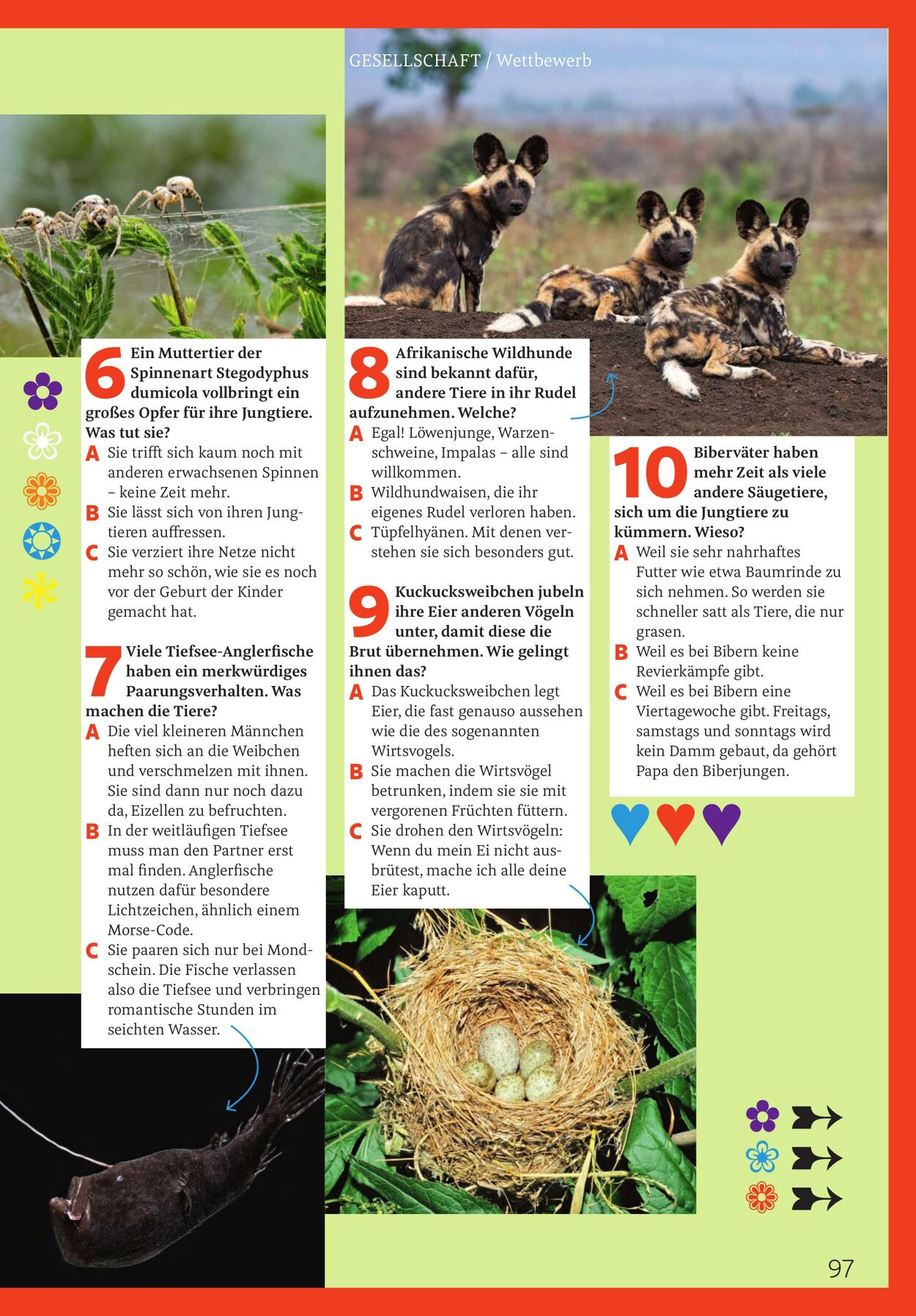 Prospekt Rossmann 01.04.2026 - 09.04.2026