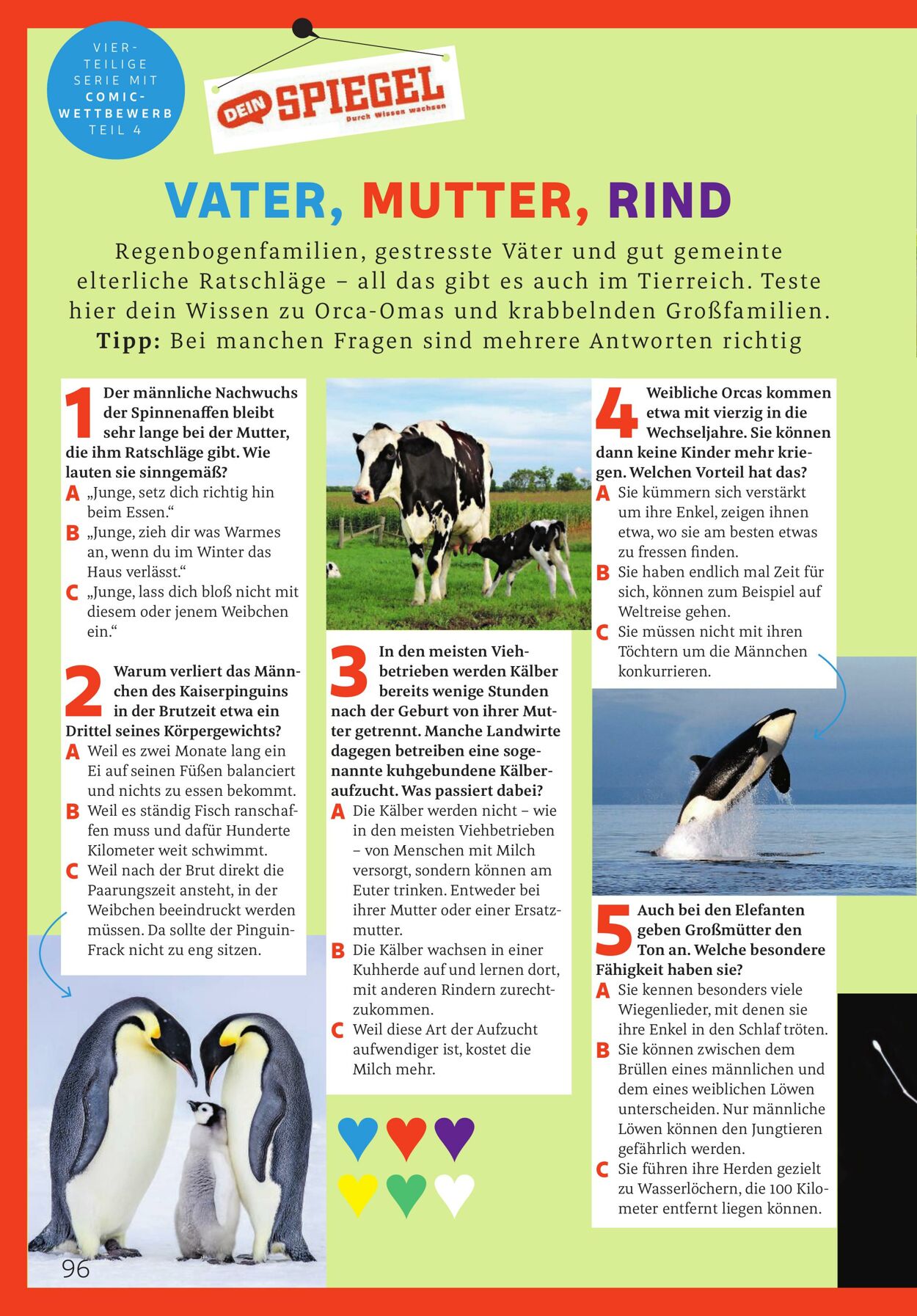 Prospekt Rossmann 01.04.2026 - 09.04.2026