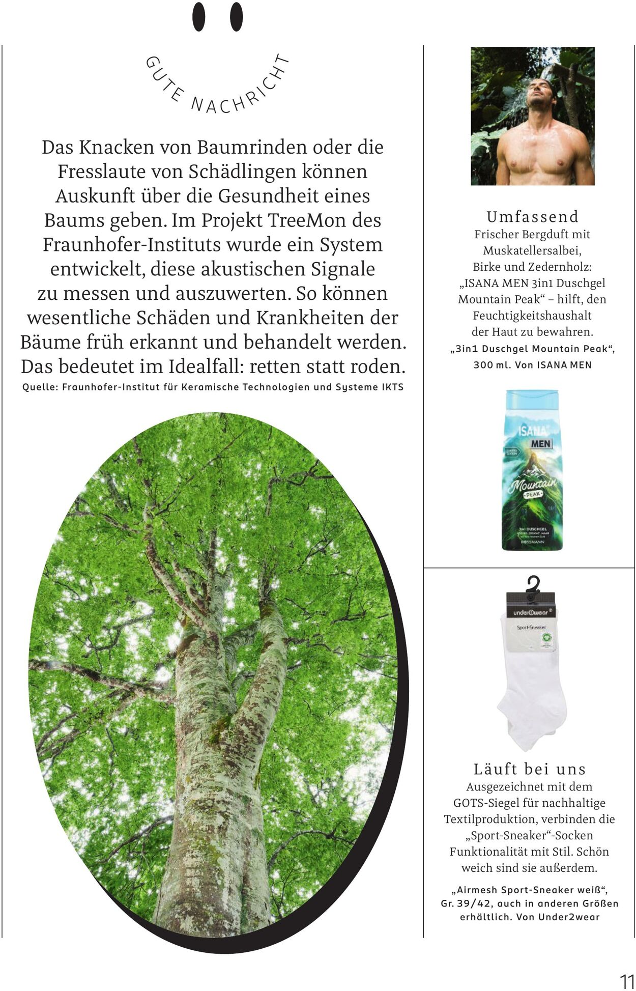 Prospekt Rossmann 01.04.2026 - 09.04.2026