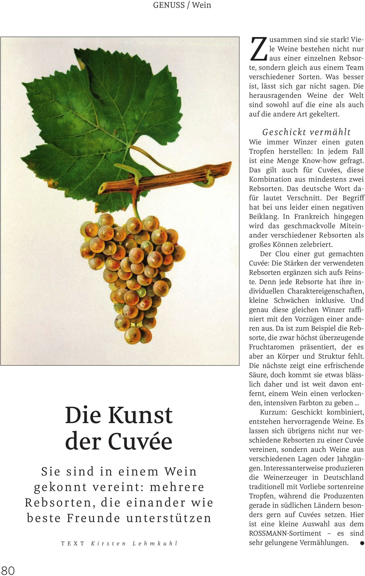 Prospekt Rossmann 27.02.2026 - 07.03.2026