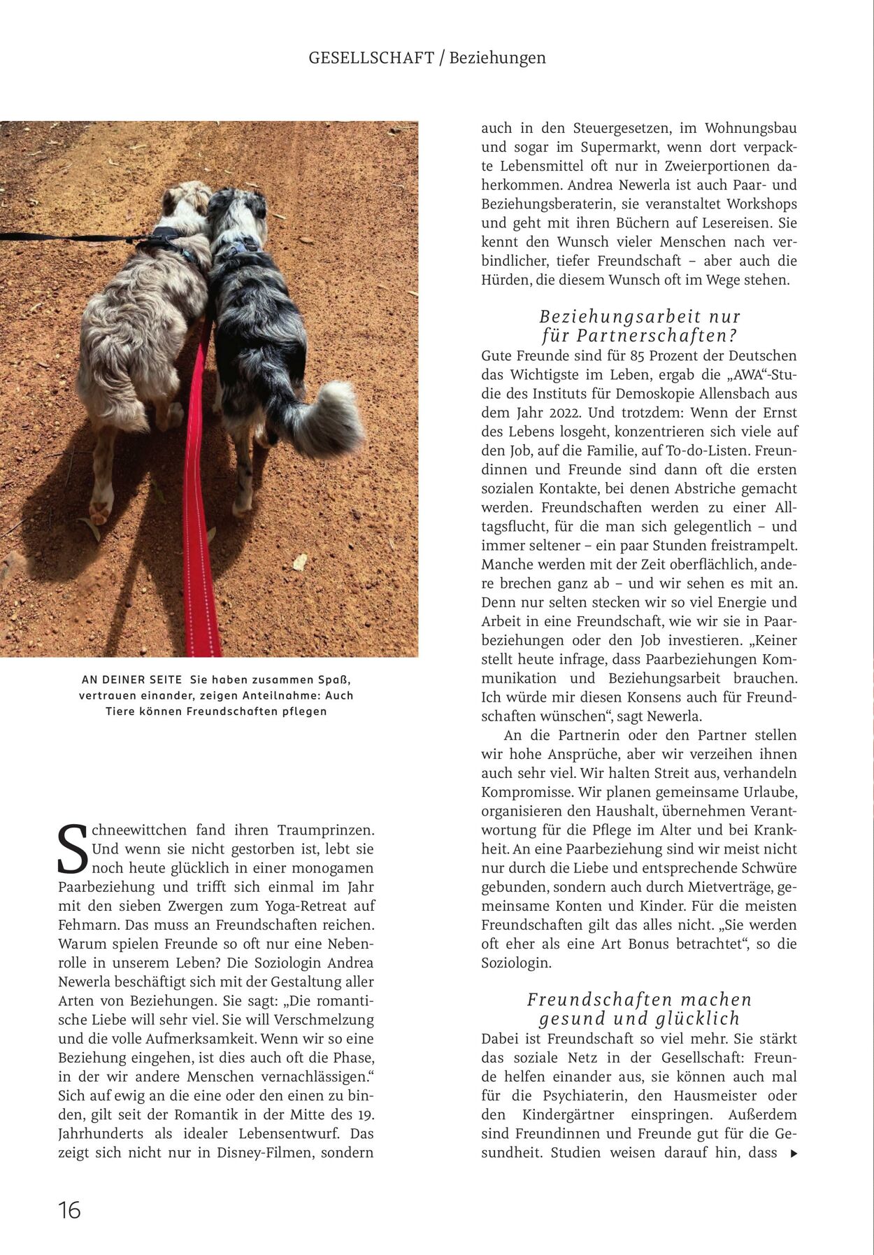 Prospekt Rossmann 27.02.2026 - 07.03.2026