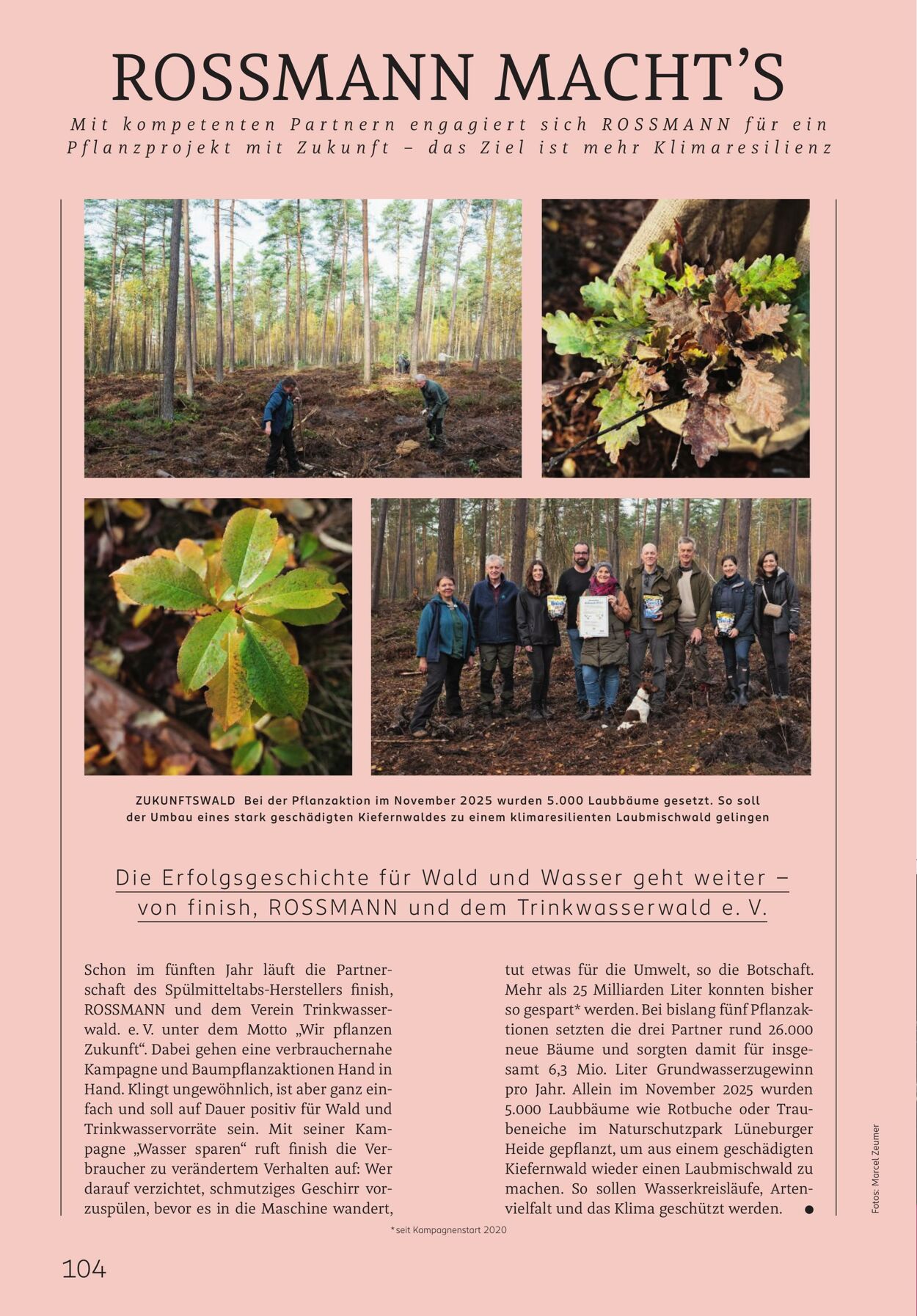 Prospekt Rossmann 02.03.2026 - 10.03.2026