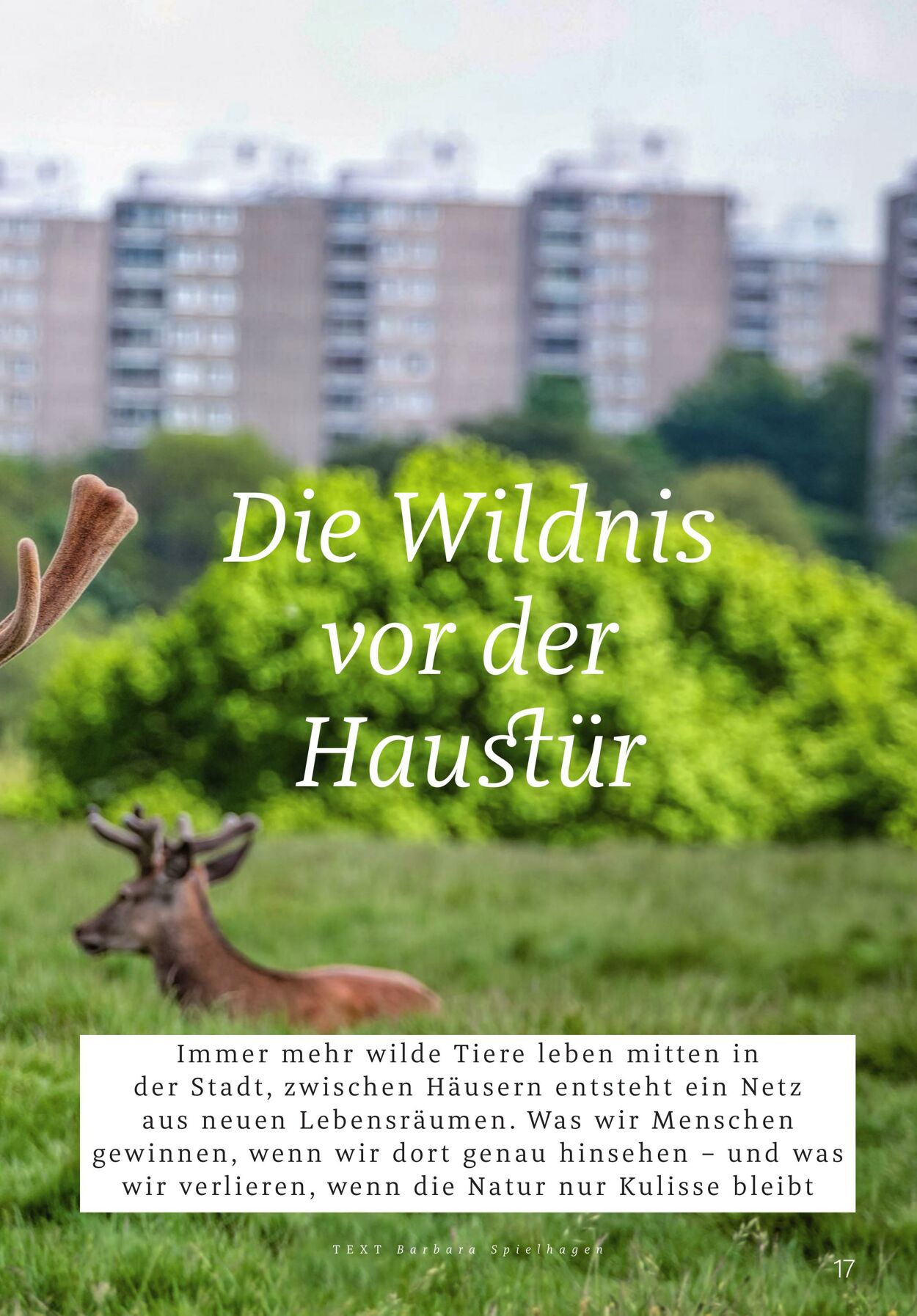 Prospekt Rossmann 02.03.2026 - 10.03.2026