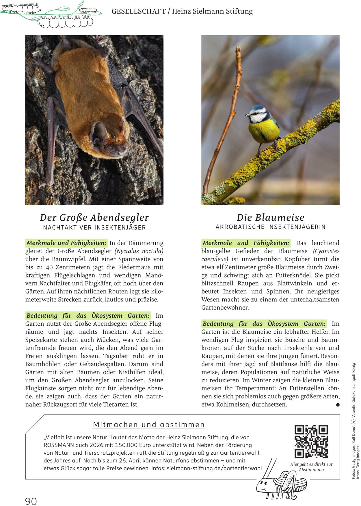 Prospekt Rossmann 02.03.2026 - 10.03.2026