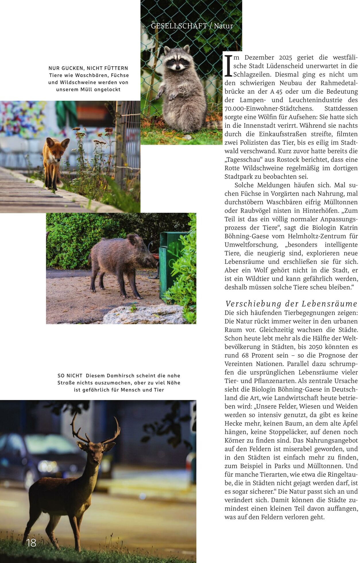 Prospekt Rossmann 02.03.2026 - 10.03.2026