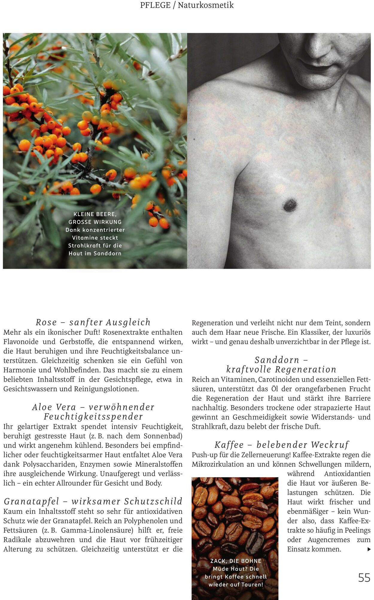 Prospekt Rossmann 02.03.2026 - 10.03.2026