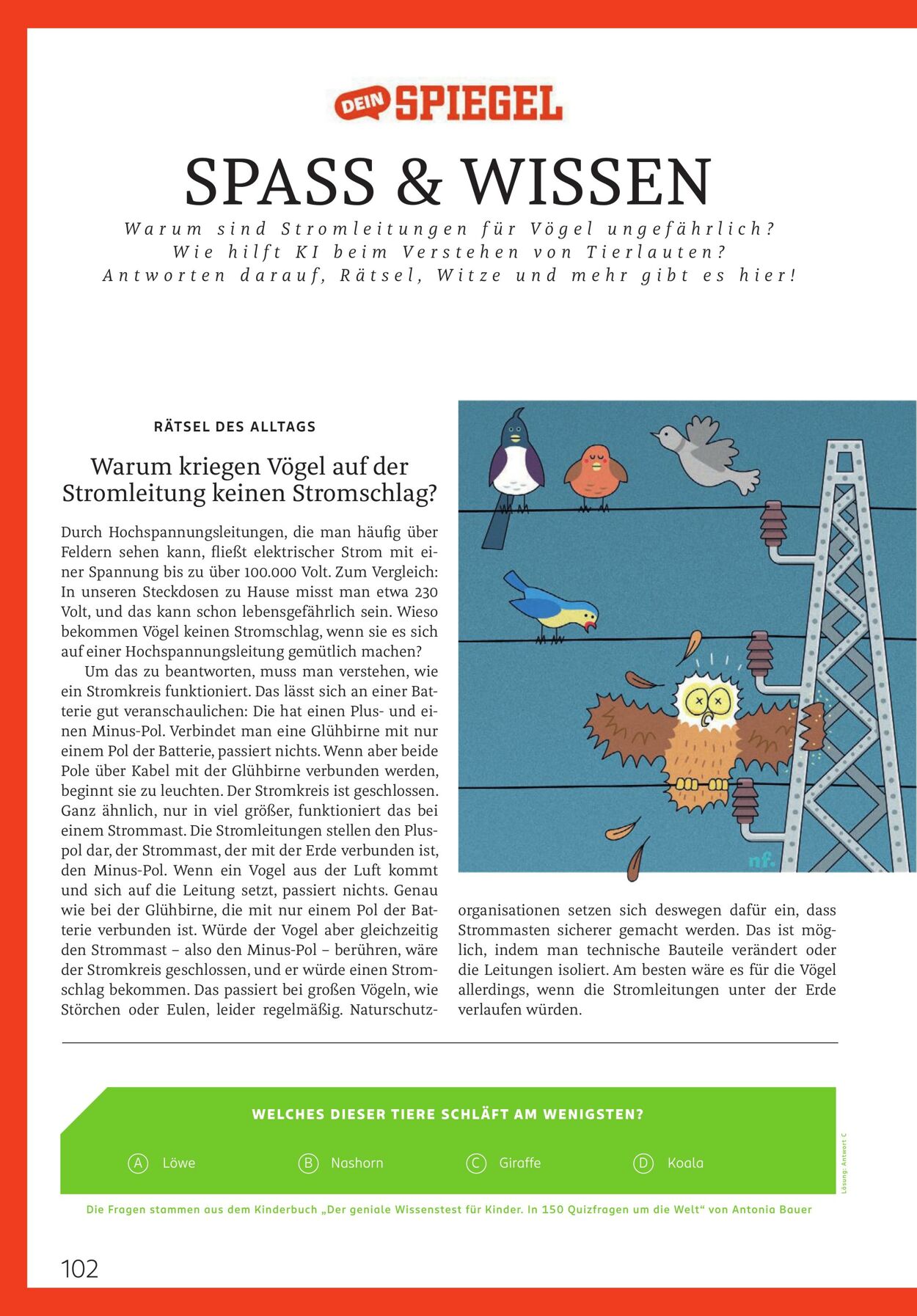 Prospekt Rossmann 02.03.2026 - 10.03.2026