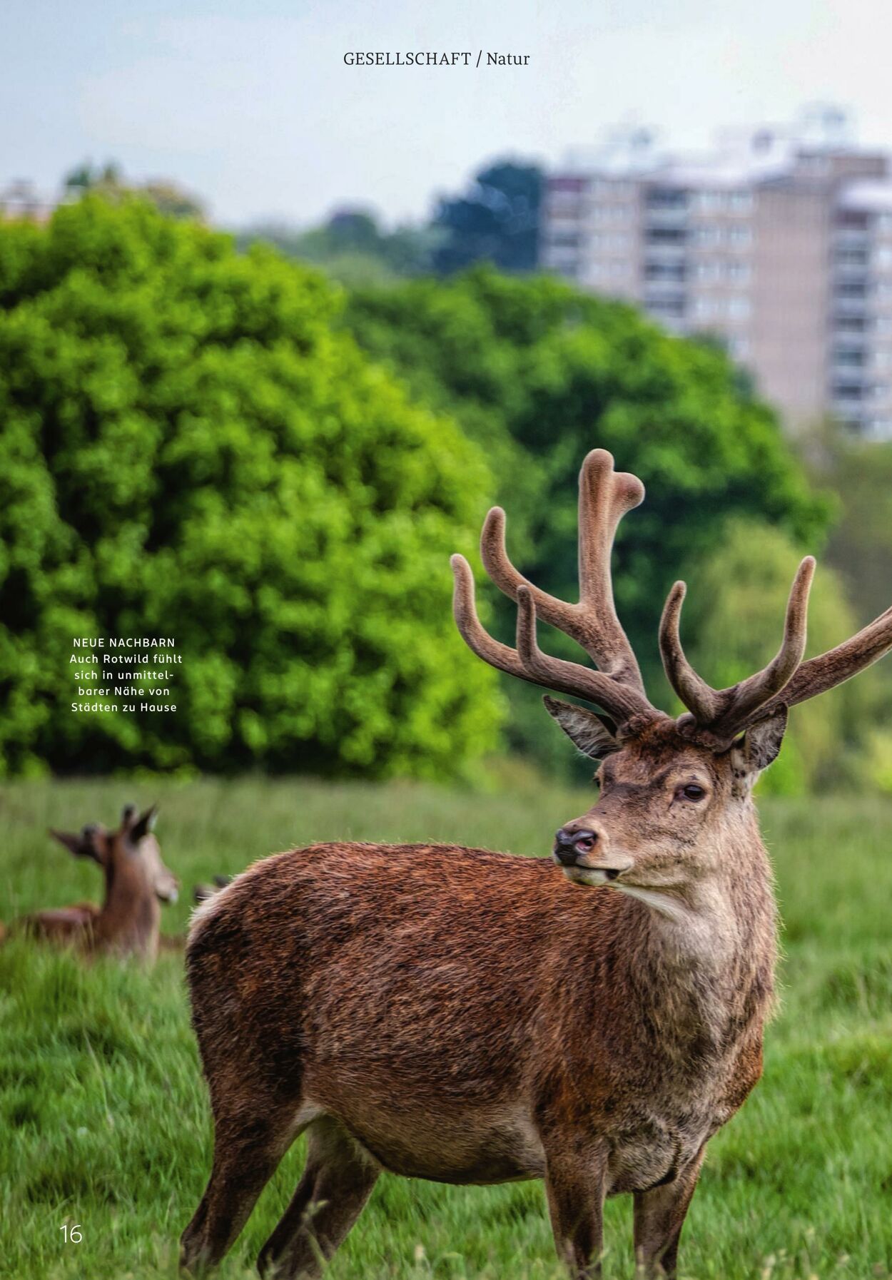 Prospekt Rossmann 02.03.2026 - 10.03.2026