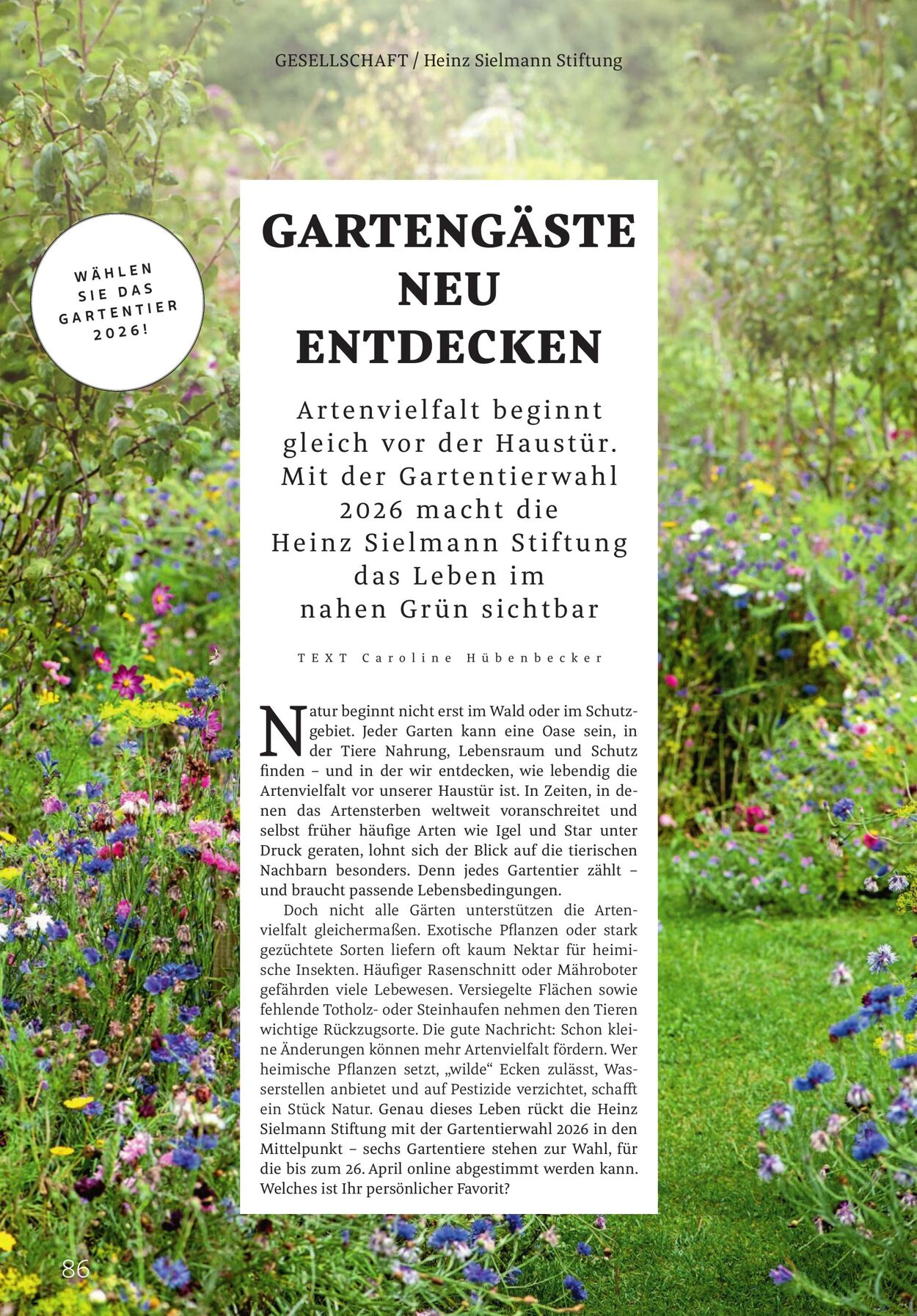 Prospekt Rossmann 02.03.2026 - 10.03.2026