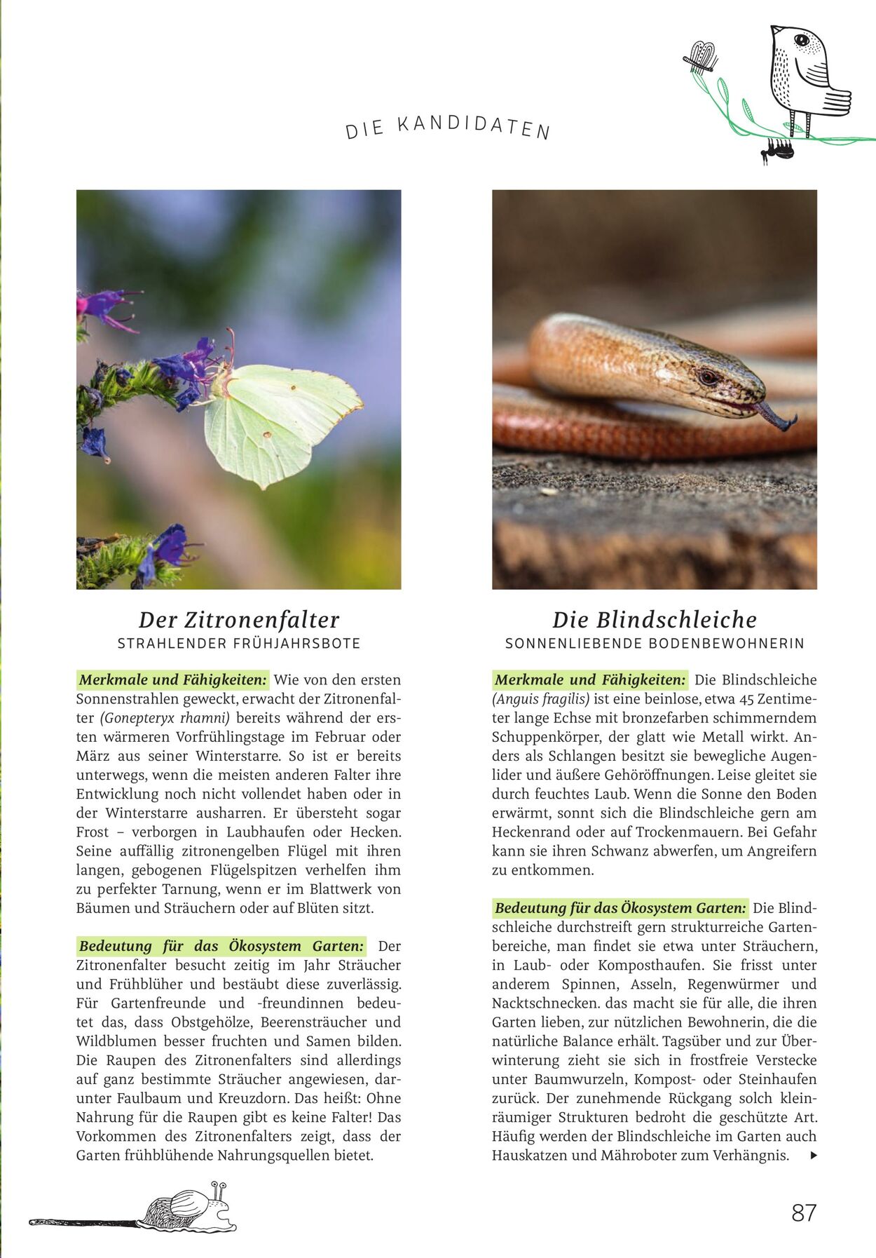 Prospekt Rossmann 02.03.2026 - 10.03.2026