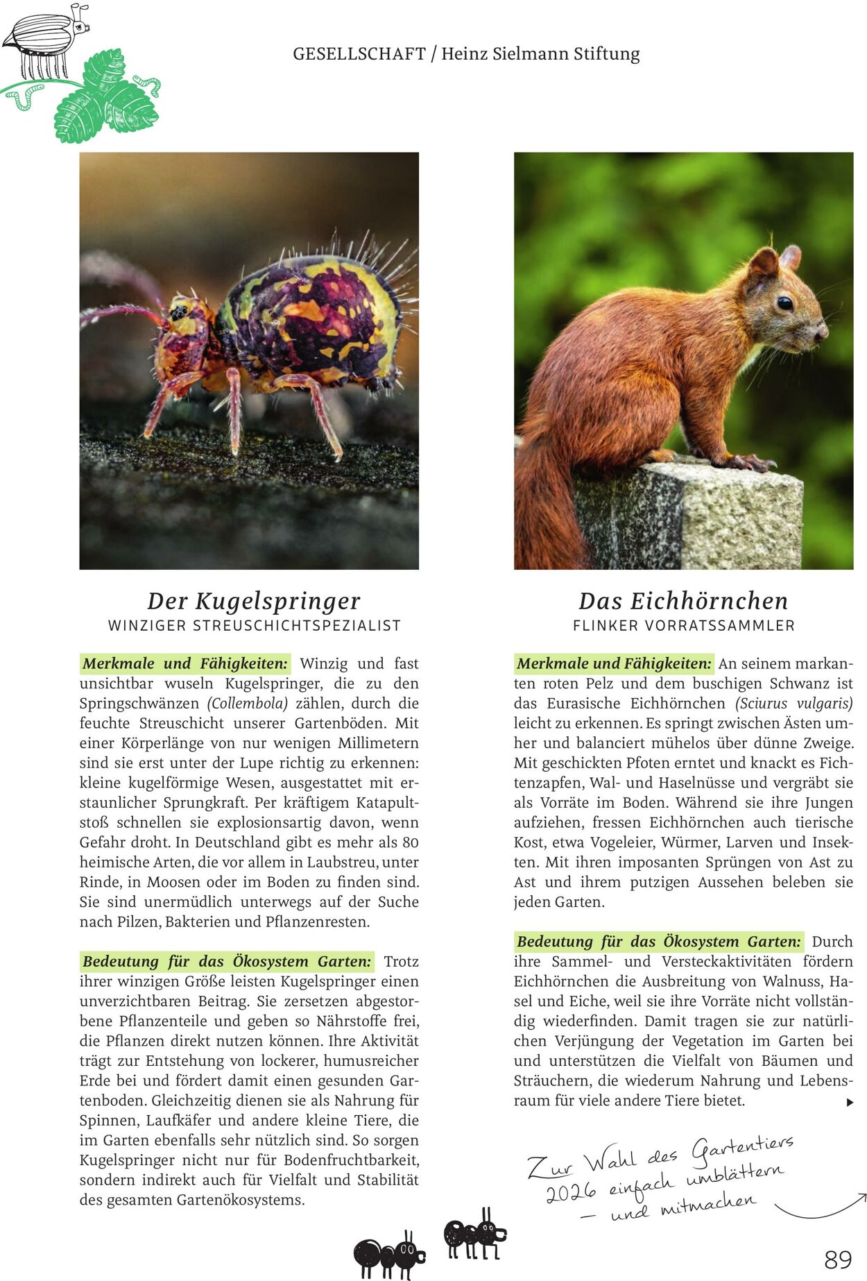 Prospekt Rossmann 02.03.2026 - 10.03.2026