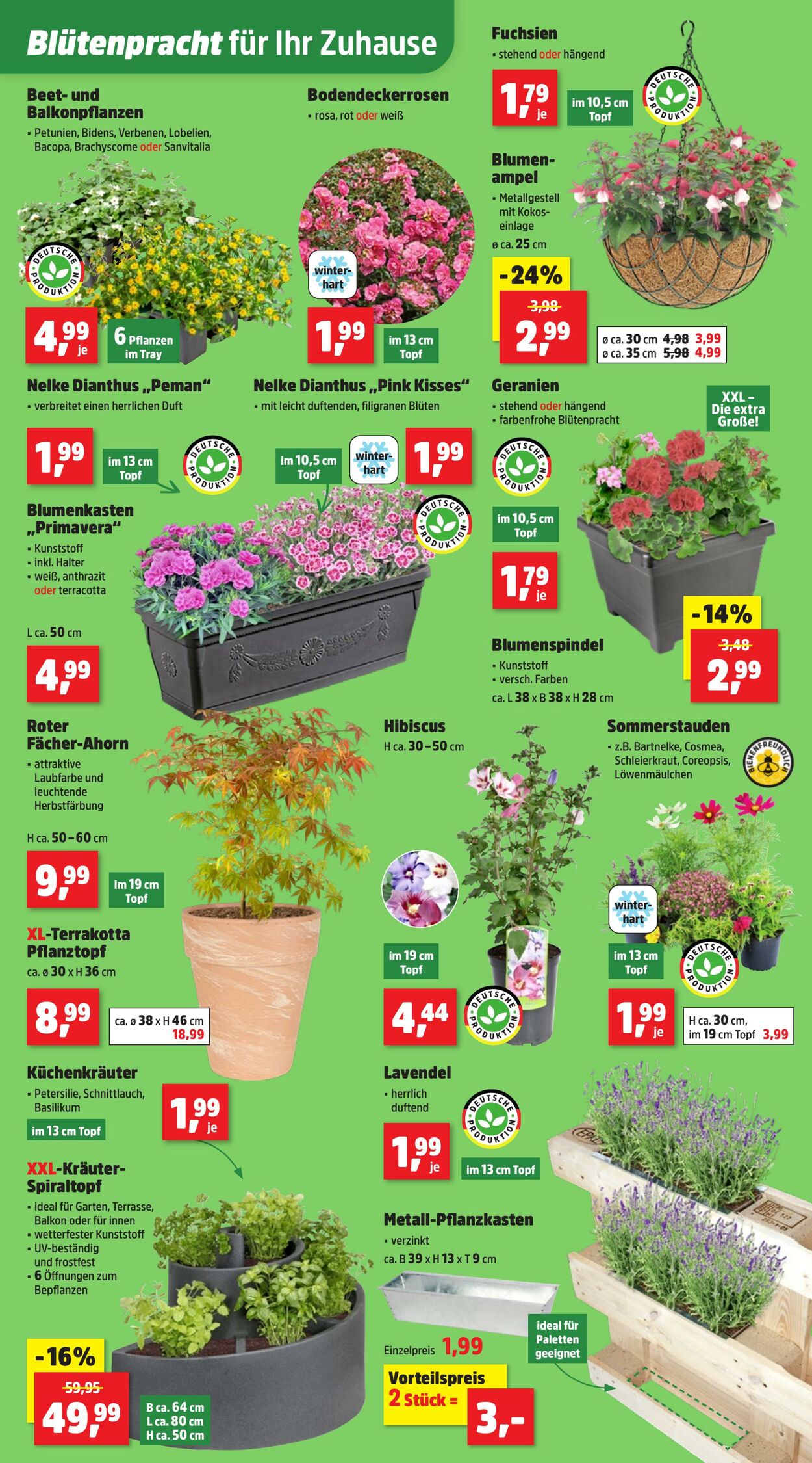 Prospekt Thomas Philipps 02.06.2025 - 07.06.2025