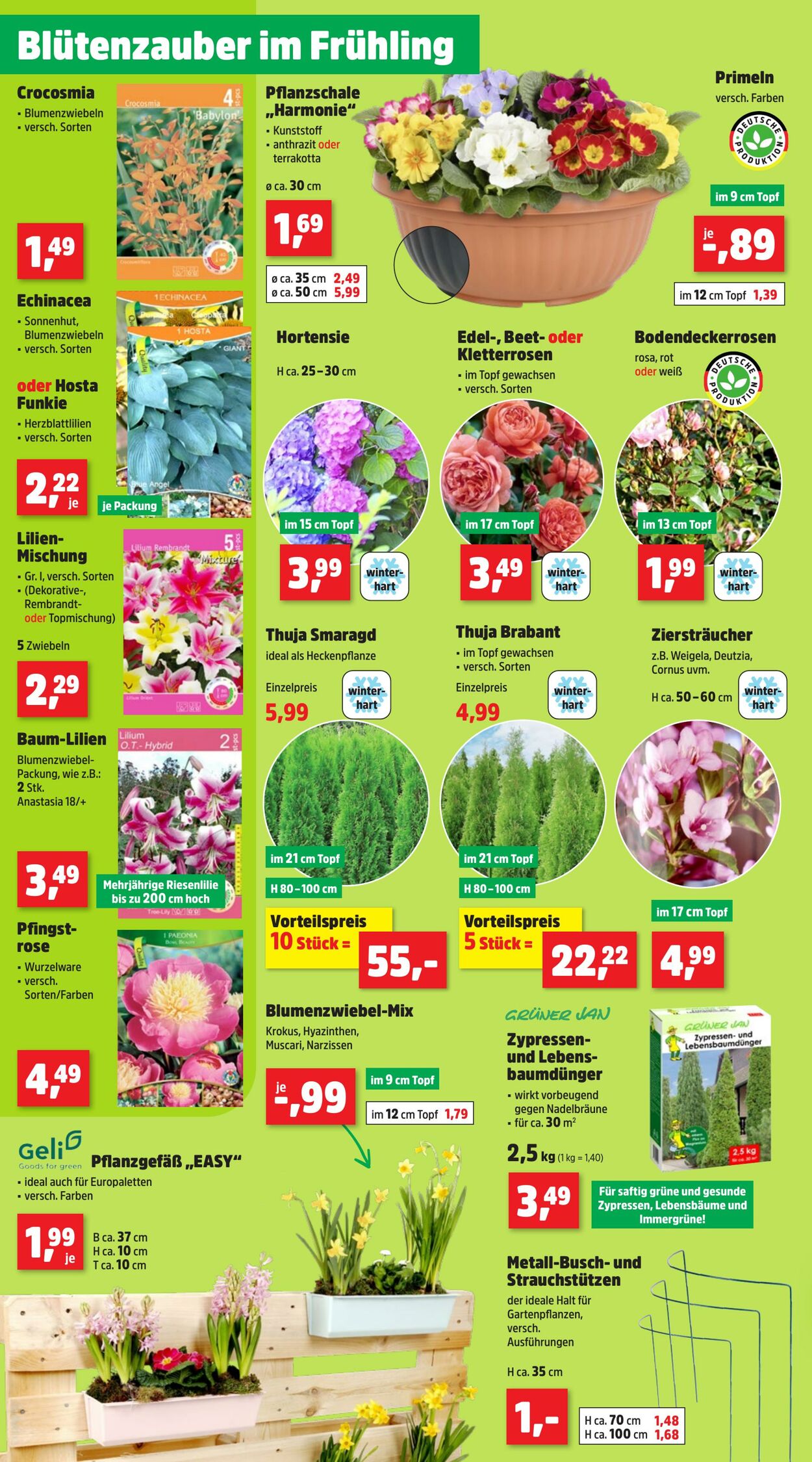 Prospekt Thomas Philipps 03.03.2025 - 08.03.2025