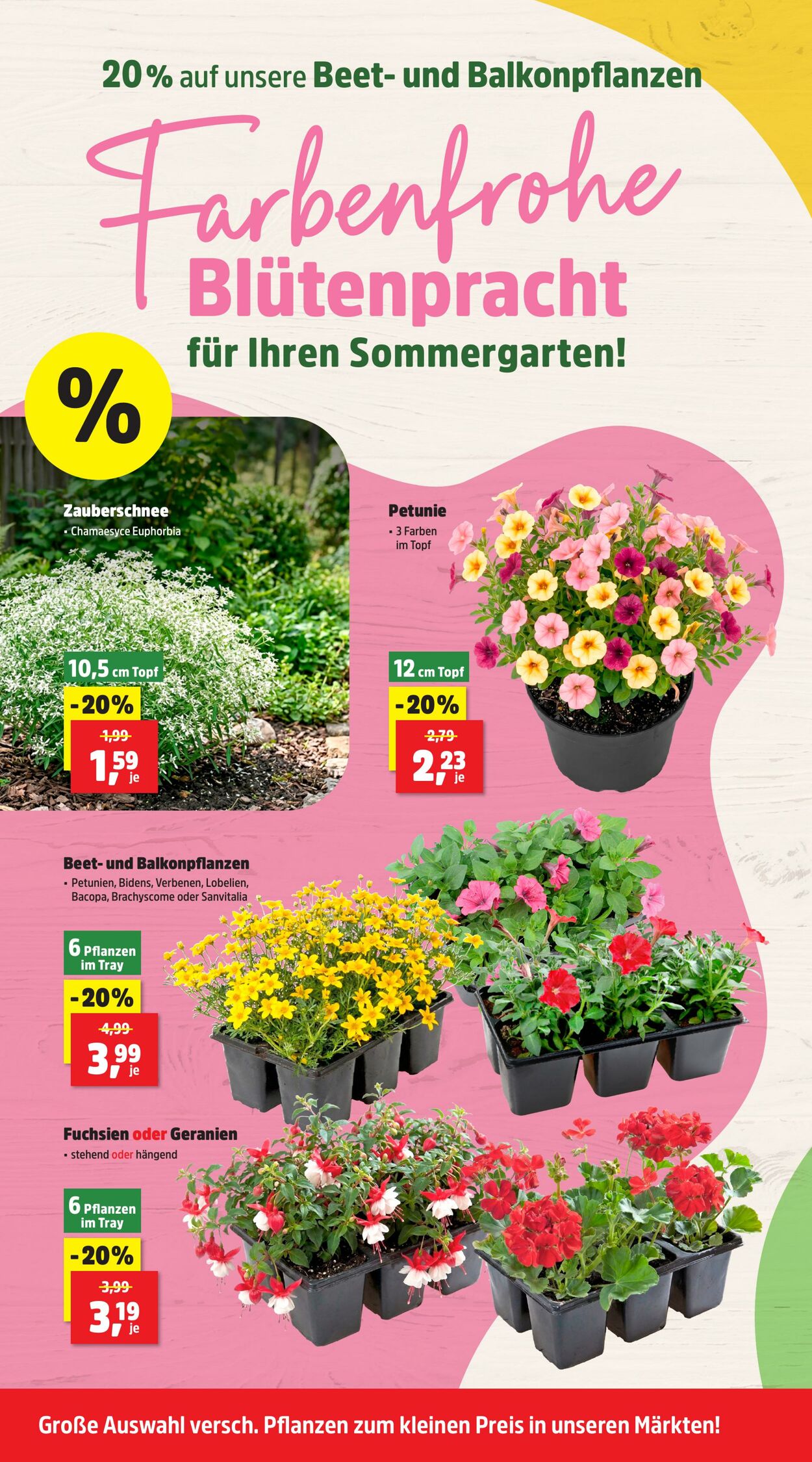 Prospekt Thomas Philipps 08.06.2026 - 13.06.2026