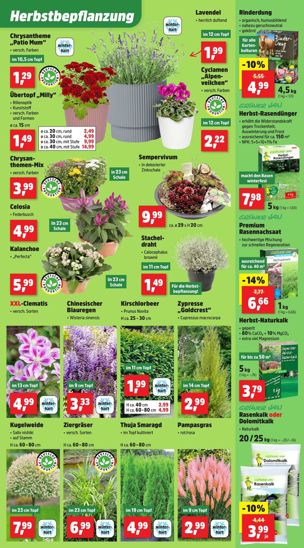 Prospekt Thomas Philipps 08.09.2025 - 13.09.2025