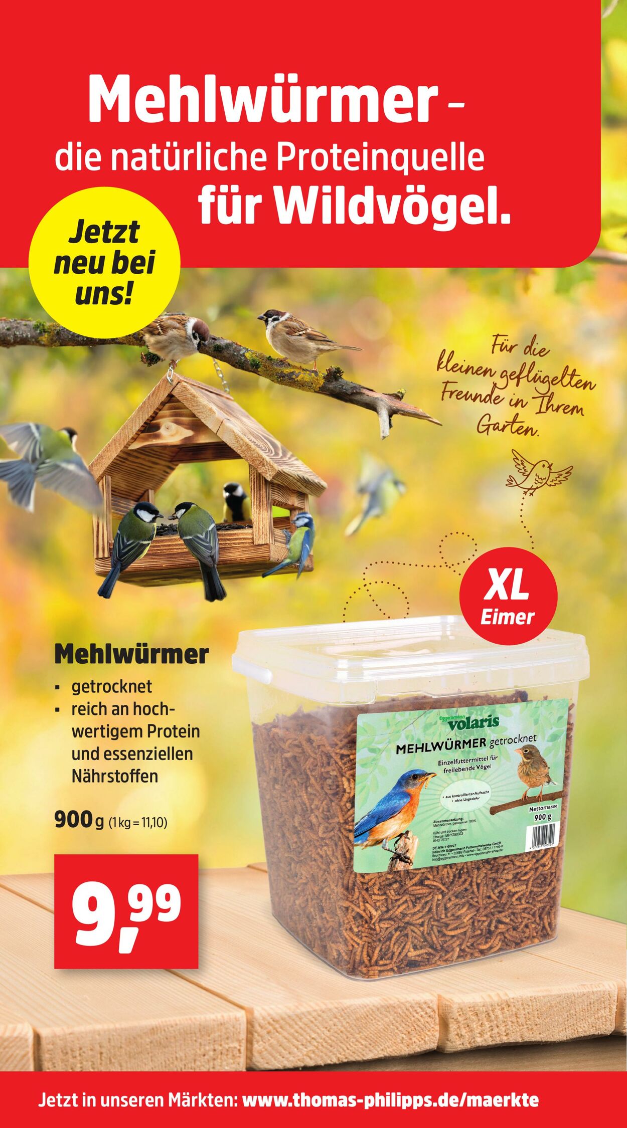 Prospekt Thomas Philipps 18.08.2025 - 23.08.2025