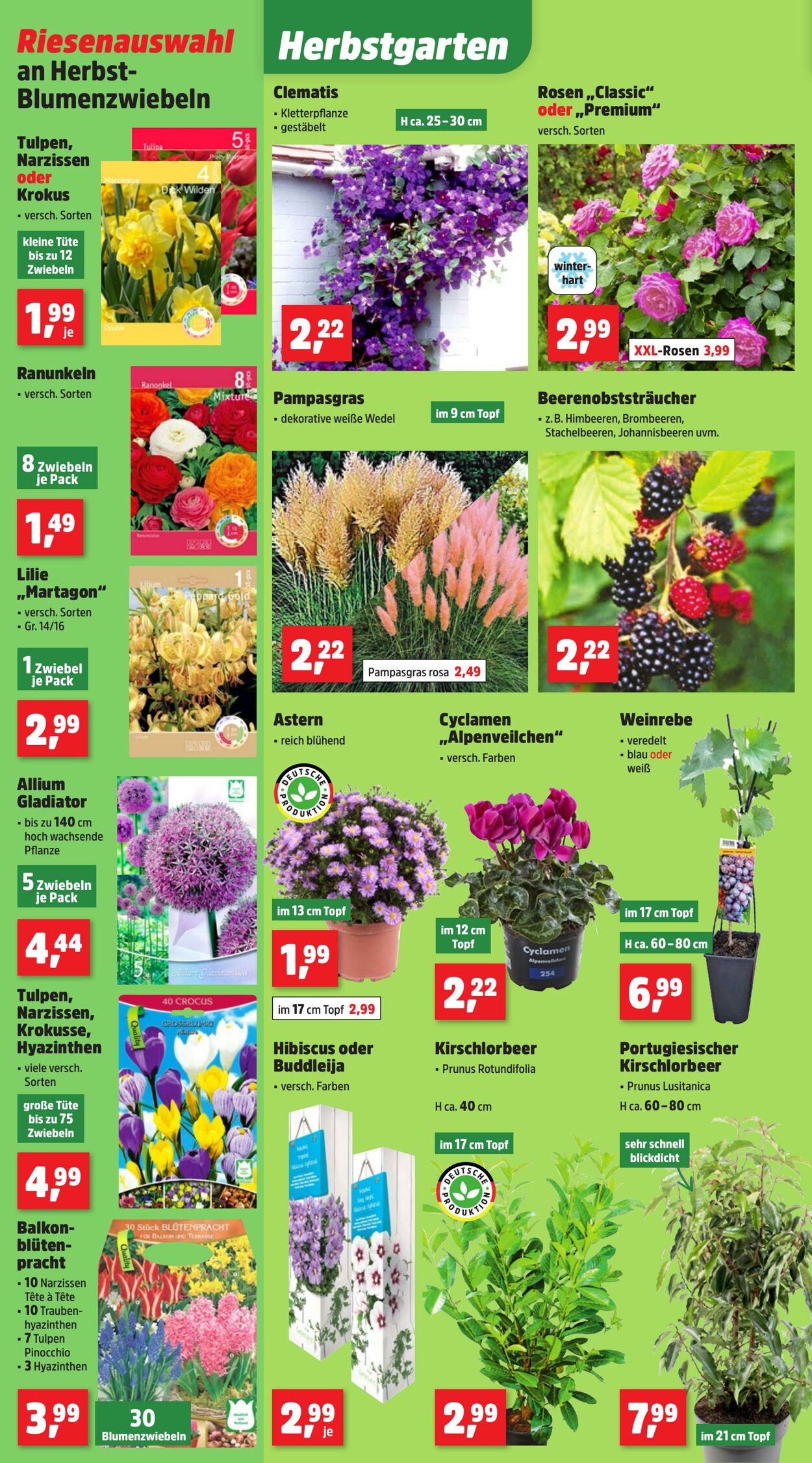 Prospekt Thomas Philipps 22.09.2025 - 27.09.2025