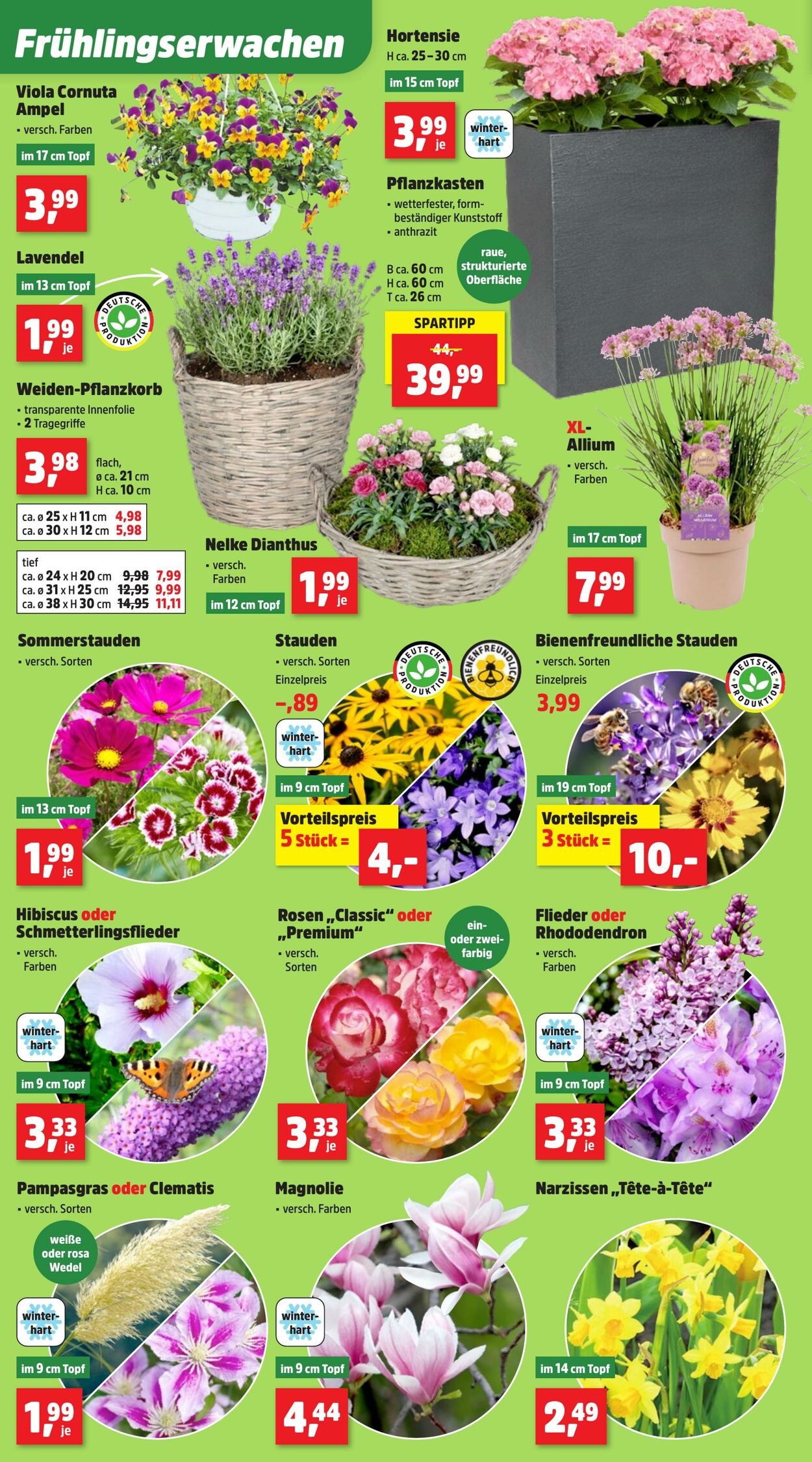 Prospekt Thomas Philipps 23.03.2026 - 28.03.2026