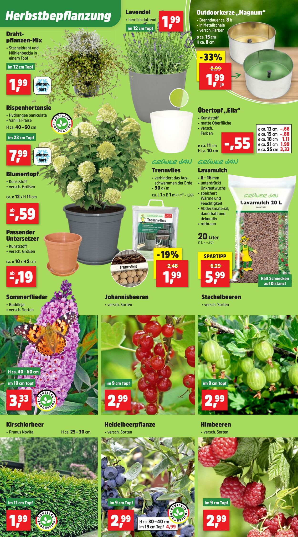 Prospekt Thomas Philipps 25.08.2025 - 30.08.2025