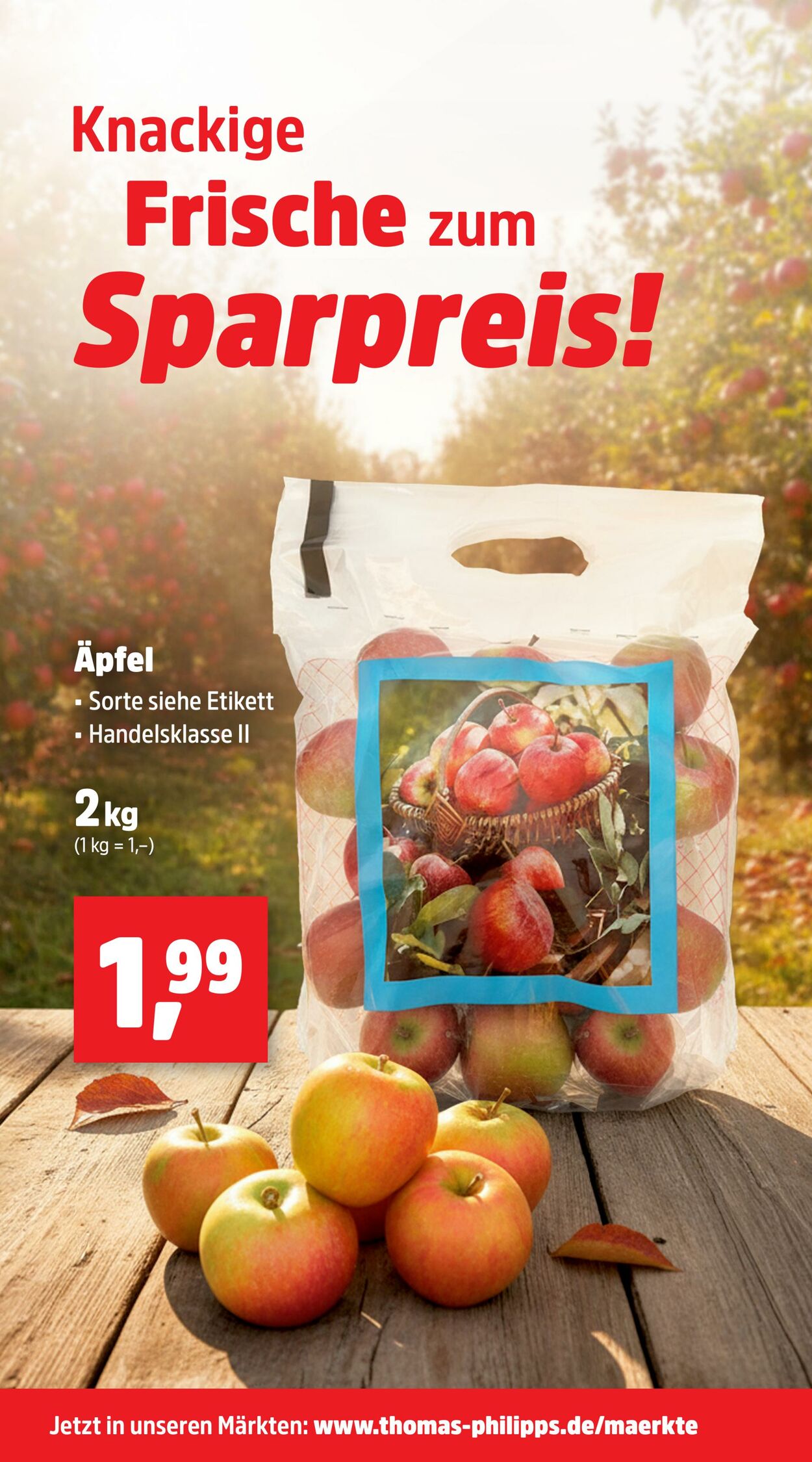 Prospekt Thomas Philipps 27.10.2025 - 01.11.2025